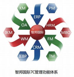 企业管理软件100%成功率背后的故事 计算机系统服务的精密艺术